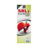 SBL Kalmegh Syrup 150g
