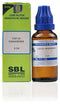 SBL Cistus Canadensis Dilution 3 CH