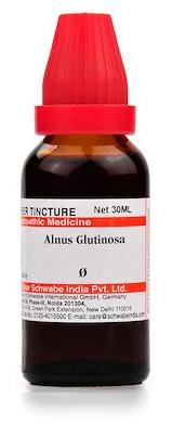 Dr Willmar Schwabe India Alnus Glutinosa Mother Tincture Q