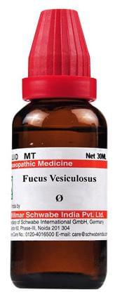 Dr Willmar Schwabe India Fucus Vesiculosus Mother Tincture Q