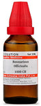 Dr Willmar Schwabe India Rosmarinus Officinalis Dilution 1000 CH