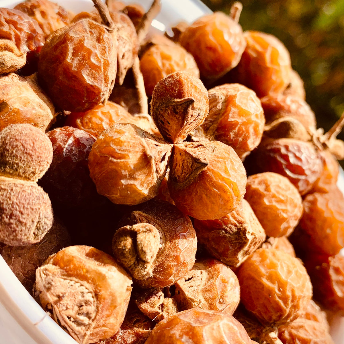 Kunkudu Kayalu Soap Nuts 500g PUSHMYCART