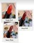 Oriflame OnColour Lipstick | Saucy Plum