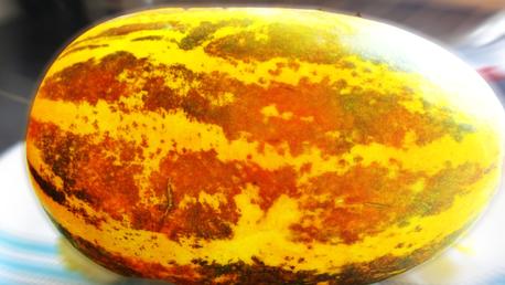 Indian Cucumber Seeds