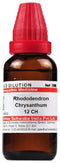 Dr Willmar Schwabe India Rhododendron Chrysanthum Dilution 12 CH