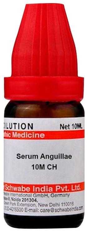 Dr Willmar Schwabe India Serum Anguillae Dilution 10M CH