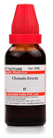 Dr Willmar Schwabe India Clematis Erecta Mother Tincture Q
