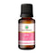 Korus Essential Rose Essential Oil | Therapeutic Grade