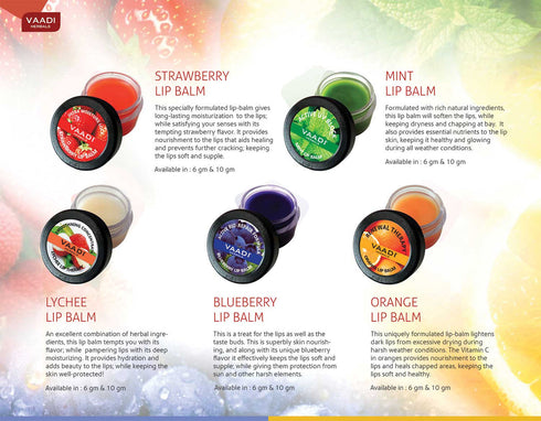 Vaadi Herbals 24 Premium Lip Balm Assorted Gift Box