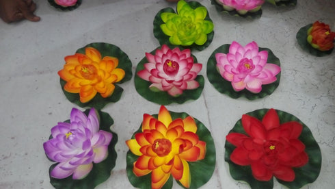Water Floating Lotus Flowers - 150gms