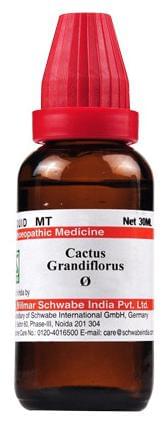 Dr Willmar Schwabe India Cactus Grandiflorus Mother Tincture Q