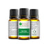 Bliss of Earth Premium Essential Oil Tea Tree