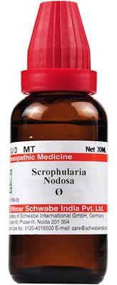 Dr Willmar Schwabe India Scrophularia Nodosa Mother Tincture Q