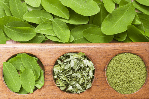 Herbs And Corps Moringa Leaves Dried 454gm