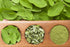 Herbs And Corps Moringa Leaves Dried 454gm