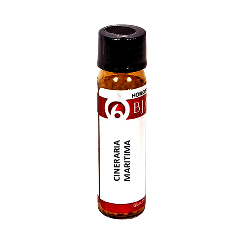 Bjain Cineraria Maritima Globules 6 CH 6GM