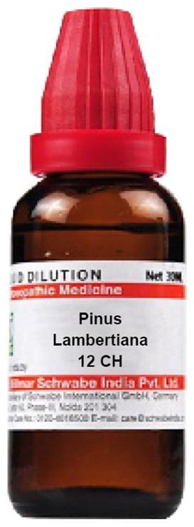 Dr Willmar Schwabe India Pinus Lambertiana Dilution 12 CH