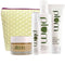Plum Green Tea Face Care | Full Set