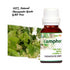 Naturoman Camphor Pure and Natural Essential Oil bottle of 15 ml Oil
