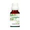 Naturoman Camphor Pure and Natural Essential Oil bottle of 50 ml Oil