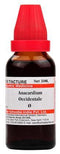 Dr Willmar Schwabe India Anacardium Occidentale Mother Tincture Q