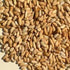 Neem seeds