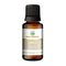 Korus Essential Jasmine Essential Oil | Therapeutic Grade