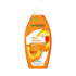 Garnier Body Cocoon Intense Moisturizing Lotion