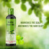 Bello Herbals Amla Hair Oil