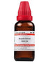 Dr Willmar Schwabe India Arundo Donax Dilution