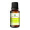 Korus Essential Spearmint Essential Oil | Therapeutic Grade