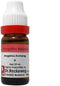 Dr. Reckeweg Angelica Archang Mother Tincture Q