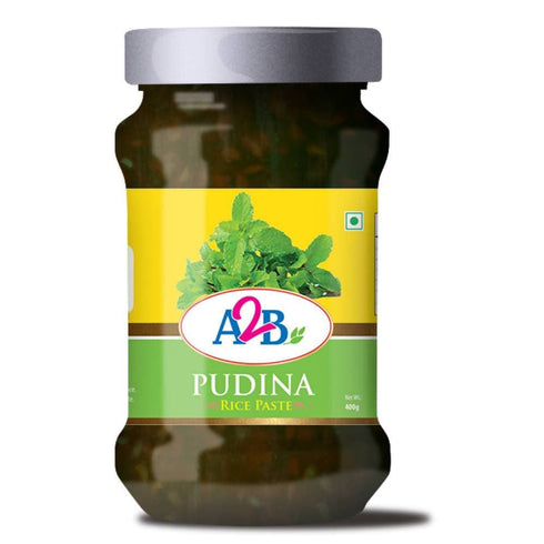 A2B | Adyar Ananda Bhavan Pudina Rice Paste