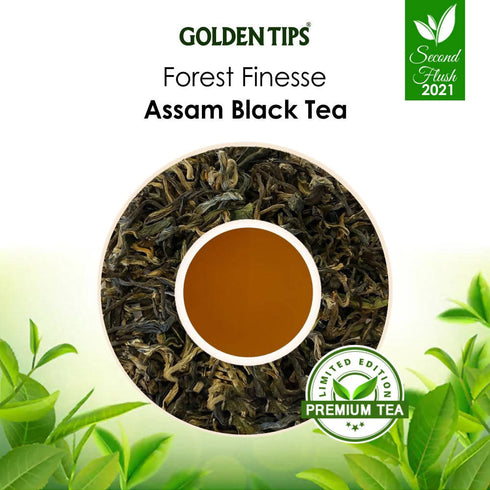 Golden Tips Forest Finesse Assam Black Tea