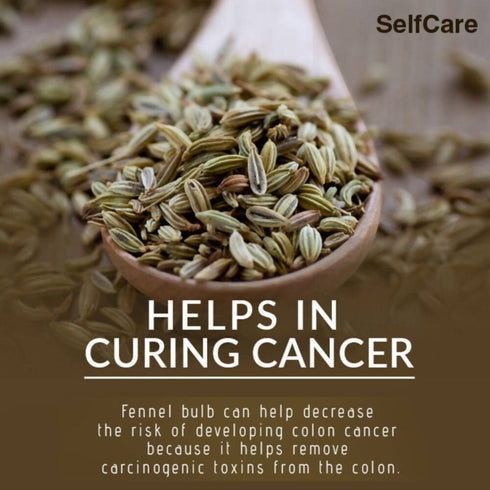 Freshon Fennel Seeds Premium