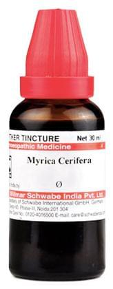 Dr Willmar Schwabe India Myrica Cerifera Mother Tincture Q