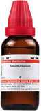 Dr Willmar Schwabe India Geum Urbanum Mother Tincture Q