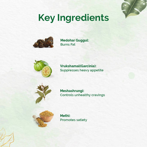 Dr. Vaidya's Herbobuild DS |Double Strength Tablets