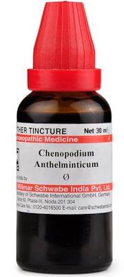 Dr Willmar Schwabe India Chenopodium Anthelminticum Mother Tincture Q