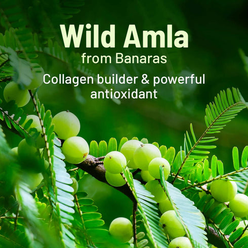 Gynoveda Amla Vitamin C Face Serum