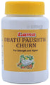 Lama Dhatu Paushtik Churn 100g