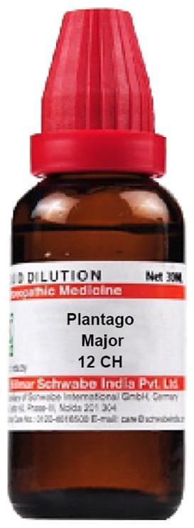 Dr Willmar Schwabe India Plantago Major Dilution 12 CH