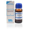 SBL Rhododendron Chrysanthum Mother Tincture Q 30ml