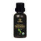 GeoFresh Organic Patchouli Essential Oil
