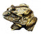 Frog Statue Made Up Of Gunmetal