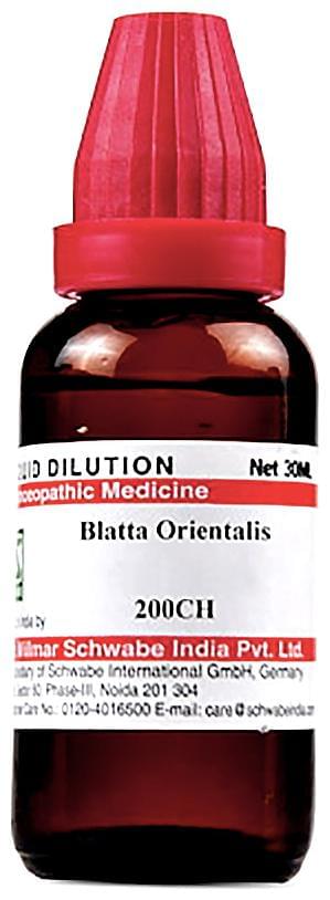 Dr Willmar Schwabe India Blatta Orientalis Dilution 200 CH