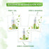 Mamaearth Tea Tree Hair Oil For Dandruff Free Hair
