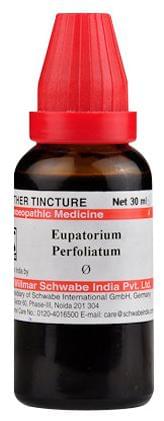 Dr Willmar Schwabe India Eupatorium Perfoliatum Mother Tincture Q