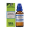 SBL Echinacea Angustifolia Dilution 200 CH