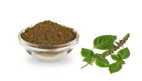 Herbs And Corps Tulsi Powder 454g